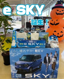 新型軽EV「e SKY」誕生！！